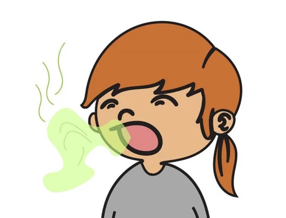 입냄새 심한이유 입냄새 심한 이유 입냄새 제거방법 입냄새 원인 입냄새 맡는방법