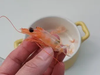 새우 요리 11가지 황금레시피_16