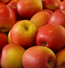 청송 사과 택배 주문 방법