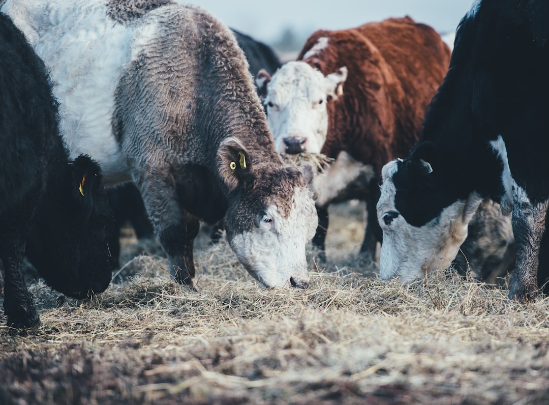 Agricultural
