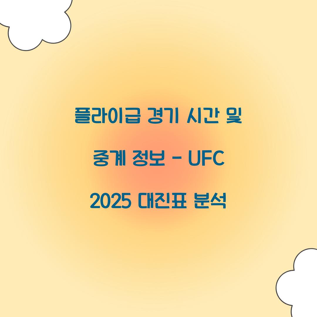 플라이급 경기 시간