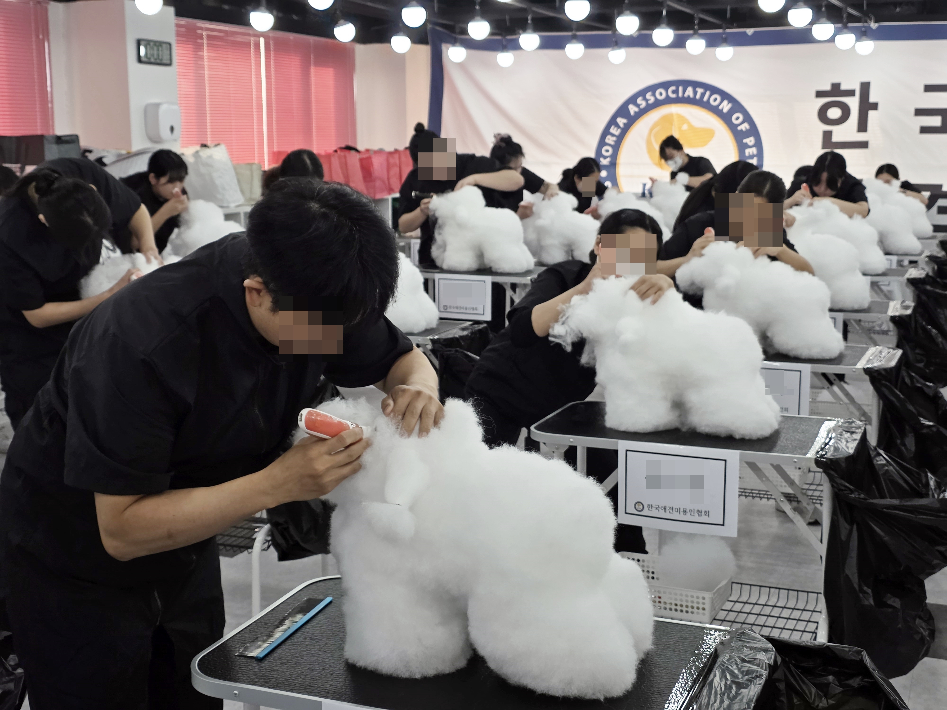 애견미용자격증시험