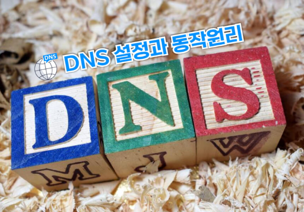 DNS 관련 이미지