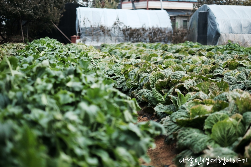 &ldquo;경기도_무료_텃밭_신청_1&rdquo;