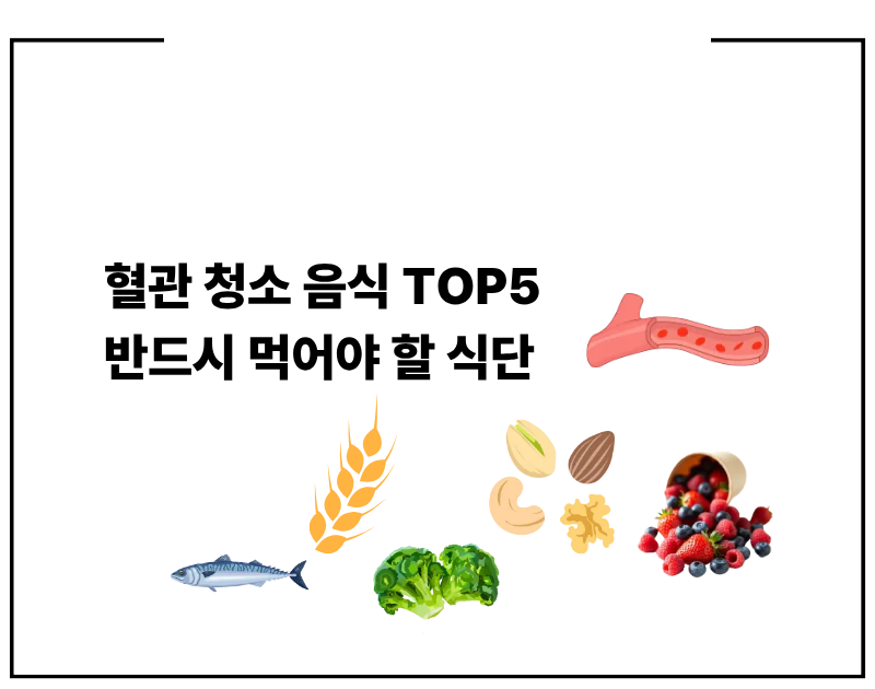 혈관 청소 음식 TOP5 반드시 먹어야 할 식단