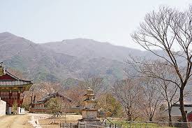 지리산 말사 여행 코스 TOP5 (화엄사 권역, 조계종 19교구 말사)