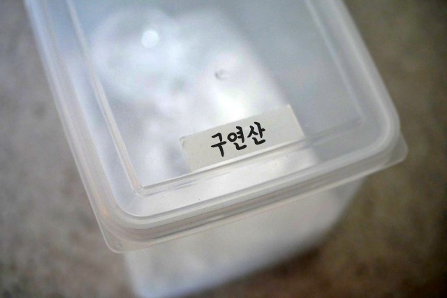 물병 물때 제거,구연산,석회,팁줌