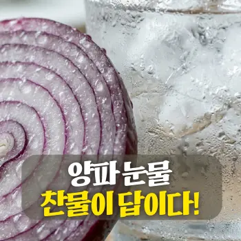 양파 눈물 찬물이 답이다!
차가운 물방울이 맺힌 신선한 양파 단면과 그 옆의 투명한 물잔을 잡은 **초밀착 클로즈업(Extreme Close-up)**