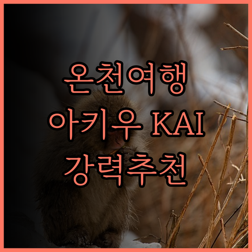 호시노 리조트 KAI 아키우.. 온천