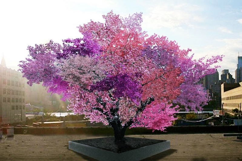 한 그루에 여러 가지 색의 꽃이 한꺼번에 핀 나무