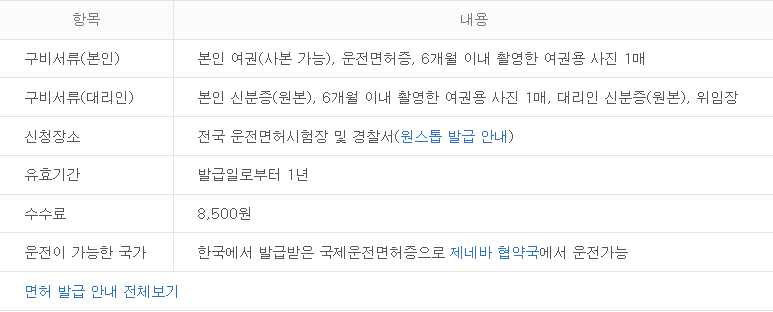 국제운전면허증 준비물