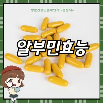 알부민 영양제 효능 알아보기 복용법 부작용_16