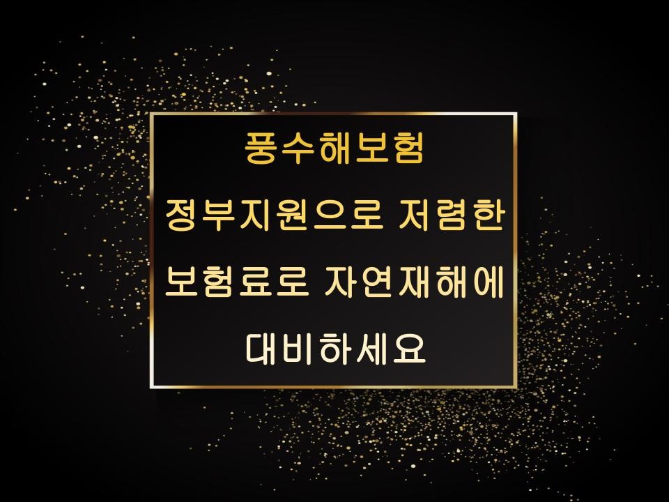 풍수해보험: 정부 지원으로 저렴한 보험료로 자연재해에 대비하세요.