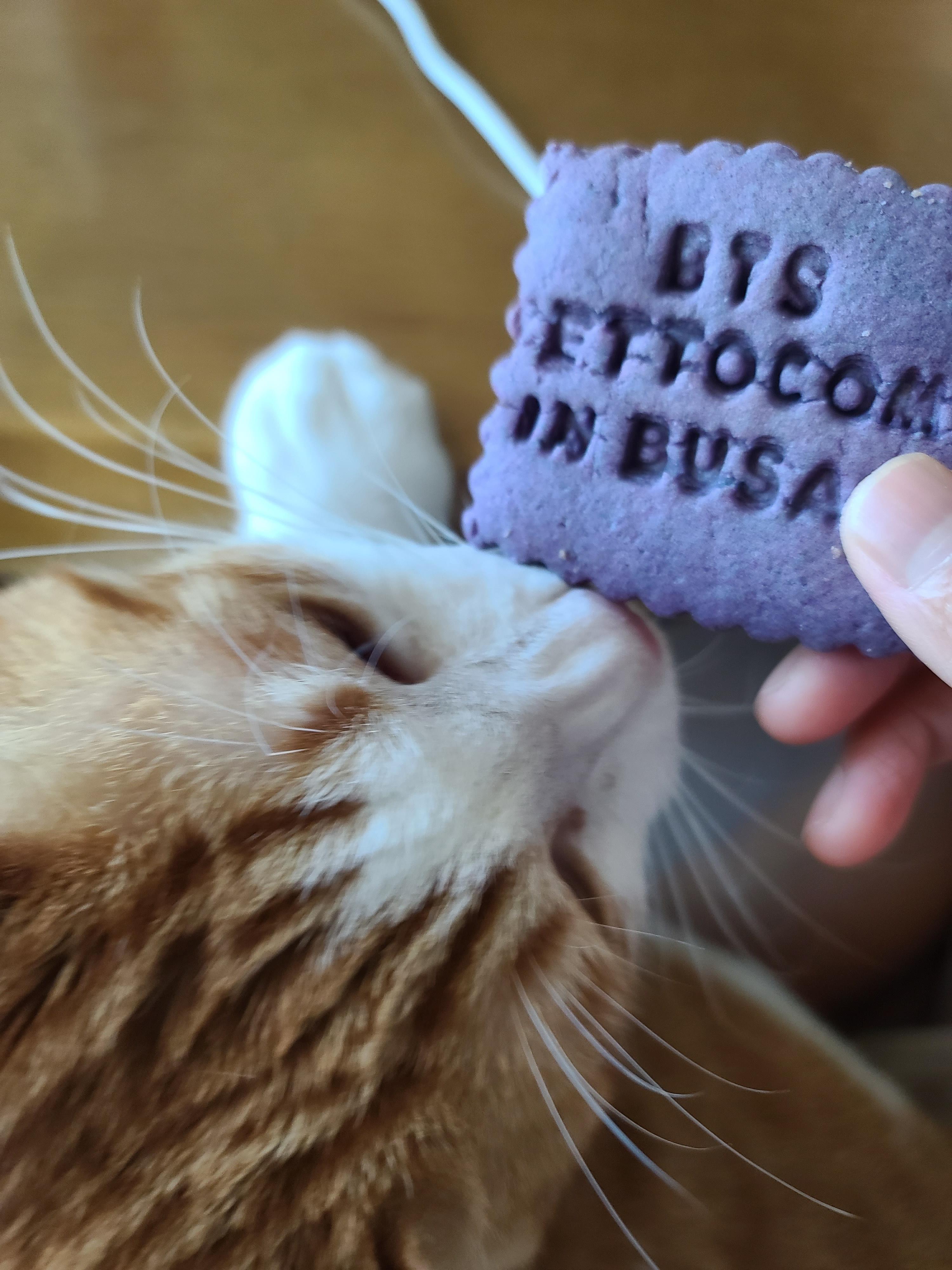 엄마손에 있는건 다 내꺼! 오랜만인 엄마랑의 오붓한 시간에 칭얼칭얼.