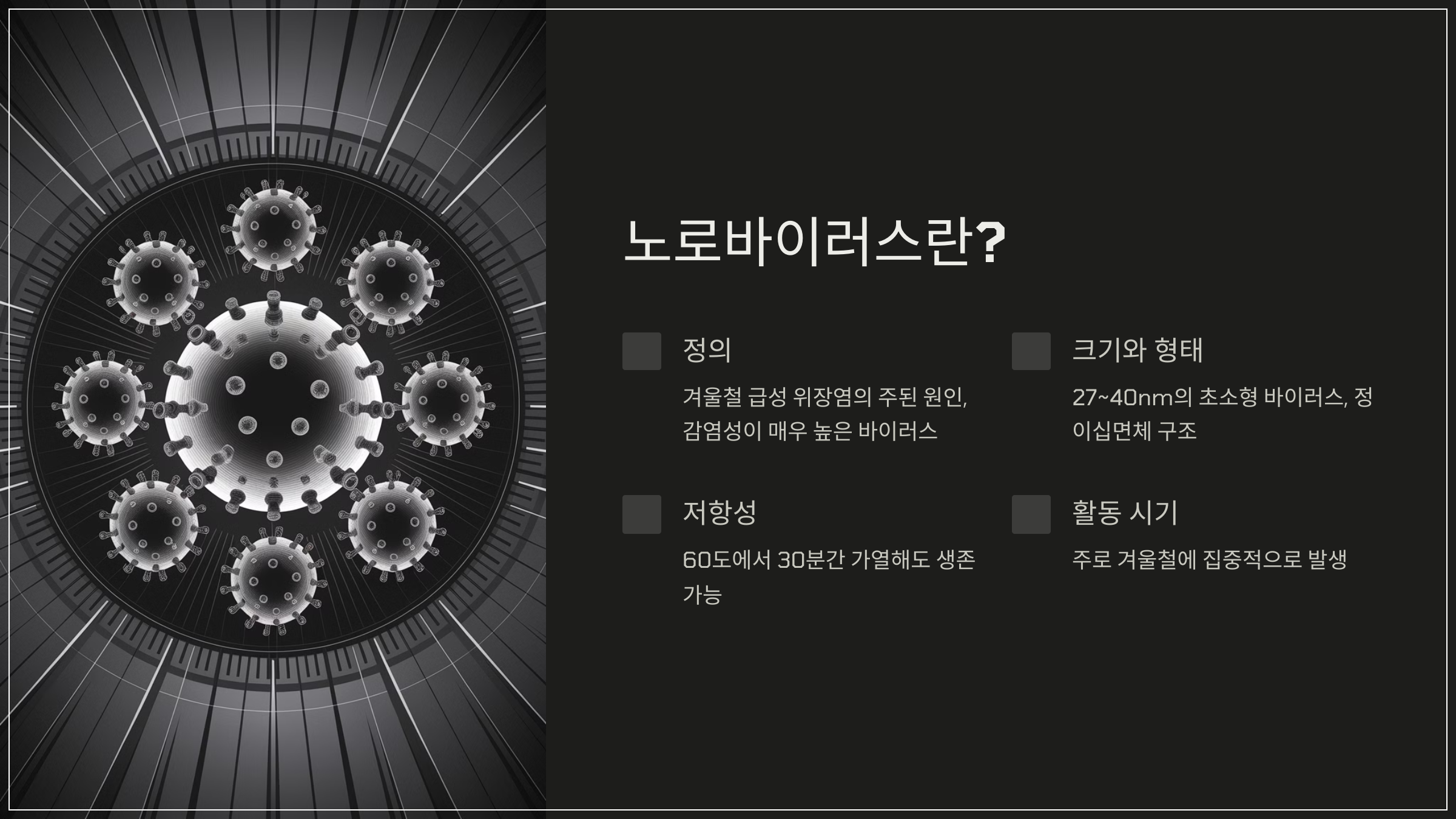 노로바이러스란?