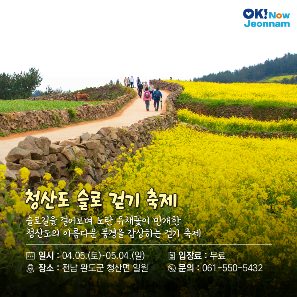 전남 봄 걷기 축제 &amp; 마라톤 총정리｜2025년 봄 여행 추천