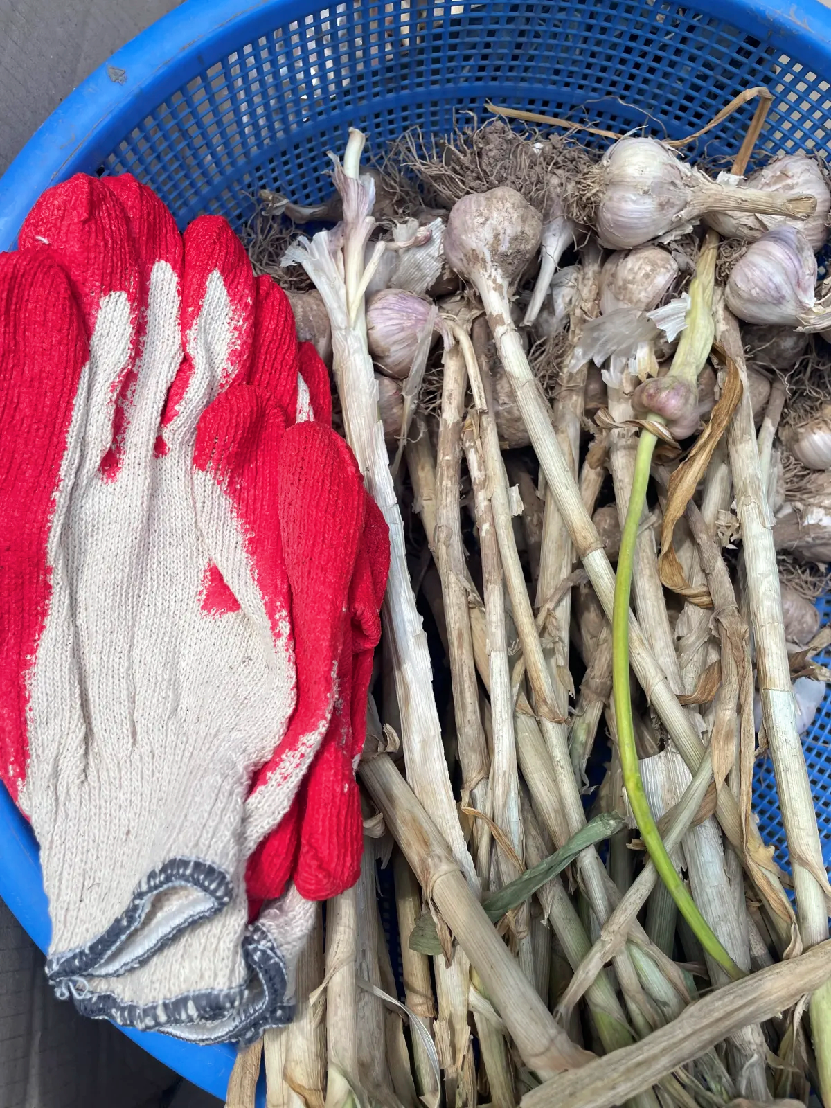 공업용 장갑 목장갑