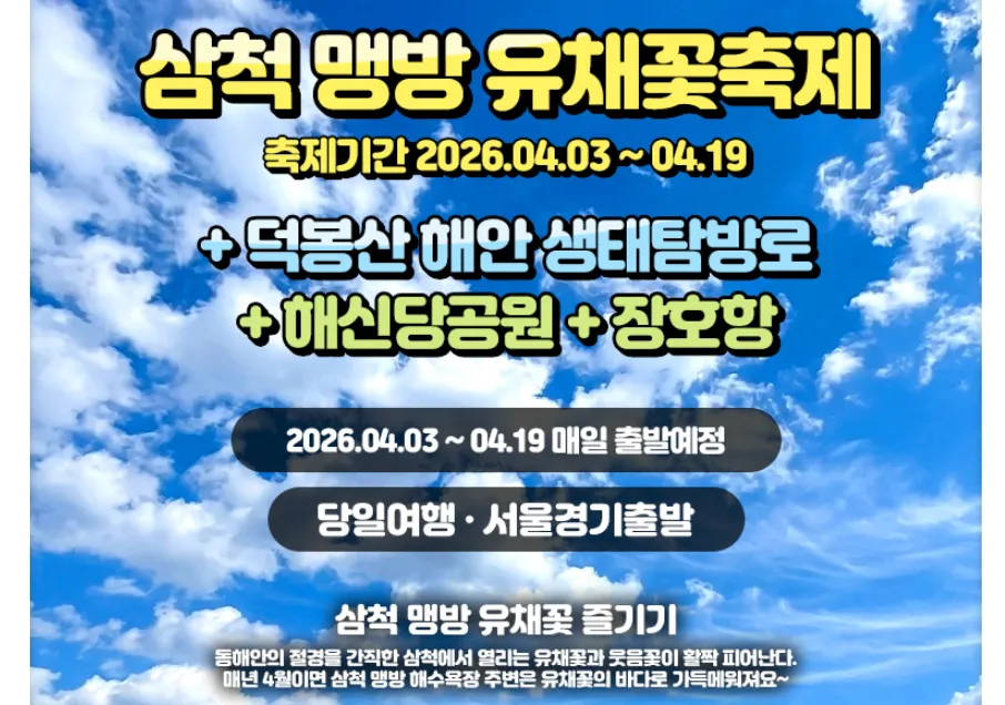 강원도 삼척 맹방 유채꽃 파랑새투어 버스 투어