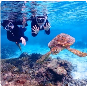 진에어 진마켓 예약방법