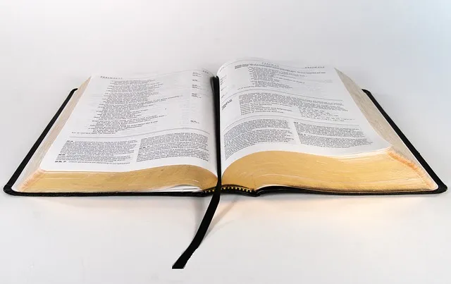 마태복음 15장 28절 성경말씀 - 이에 예수께서 대답하여 이르시되 여자여 네 믿음이 크도다_5