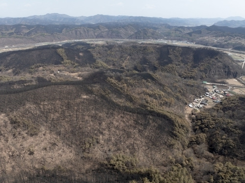 챗GPT 지브리 이미지 열풍, 지구에 어두운 그림자 짙어진다.