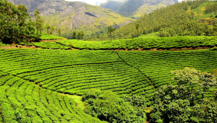 주말농장 분양가격 관련 사진