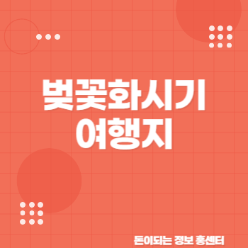 2025 벚꽃 개화시기, 여행지 총정리