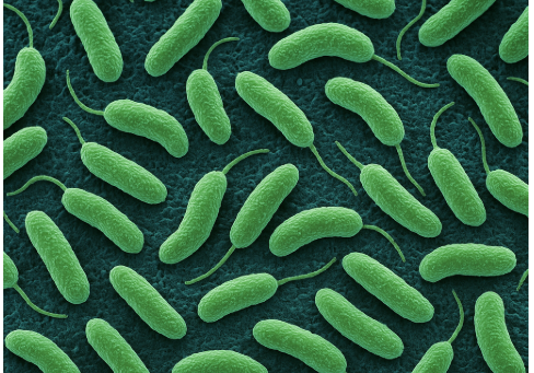 간수치 높으면 나타나는 몸이 보내는 위험신호