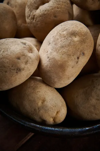 감자 심는 시기 재배 방법_7