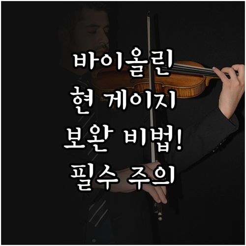 악기 성향 보완을 위한 바이올린 현 ..
