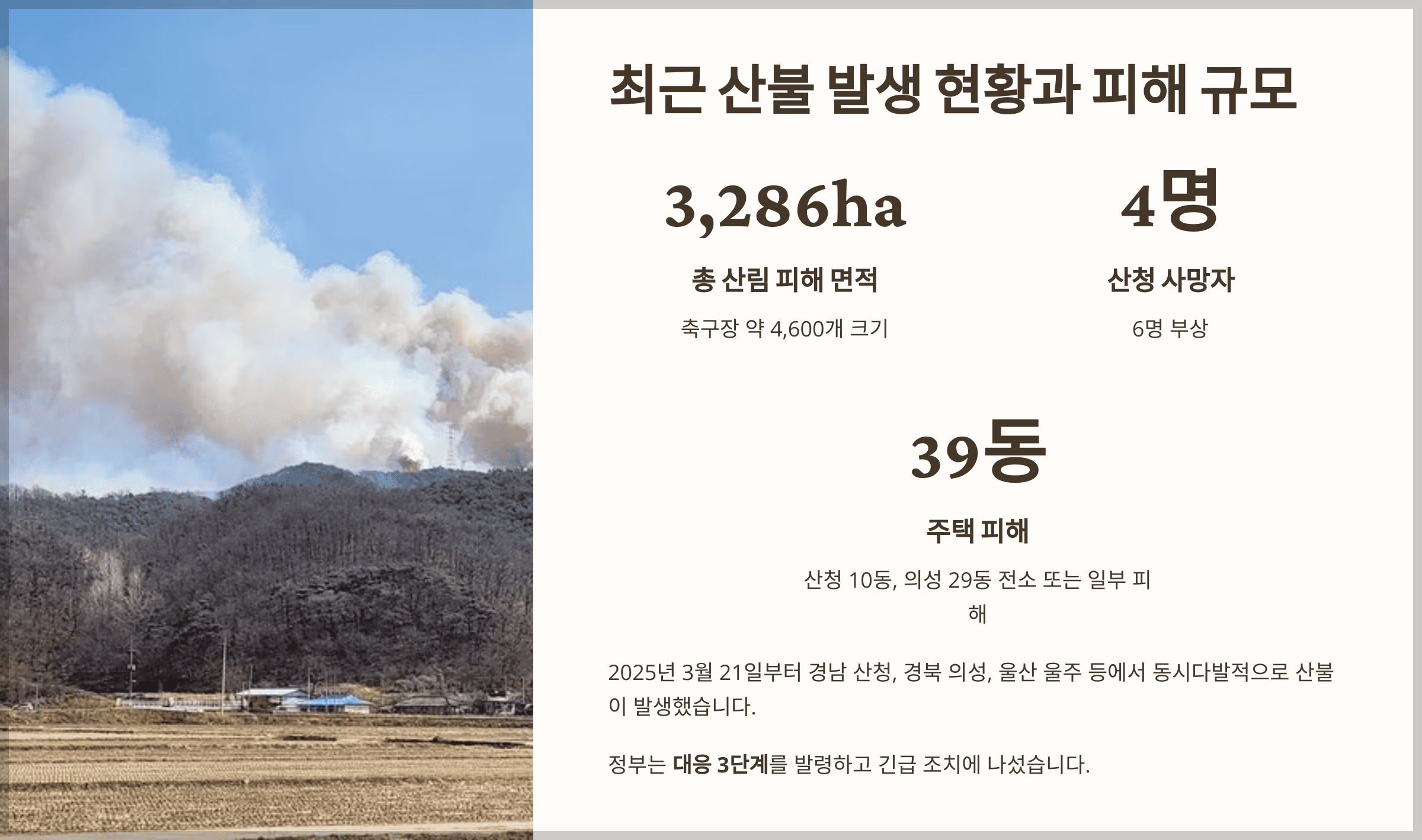 최근 산불 발생 현황과 피해 규모