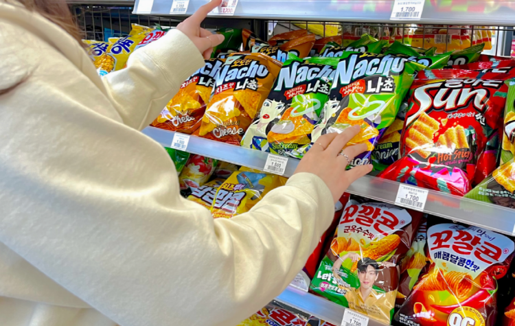 여수 챌린지파크 루지