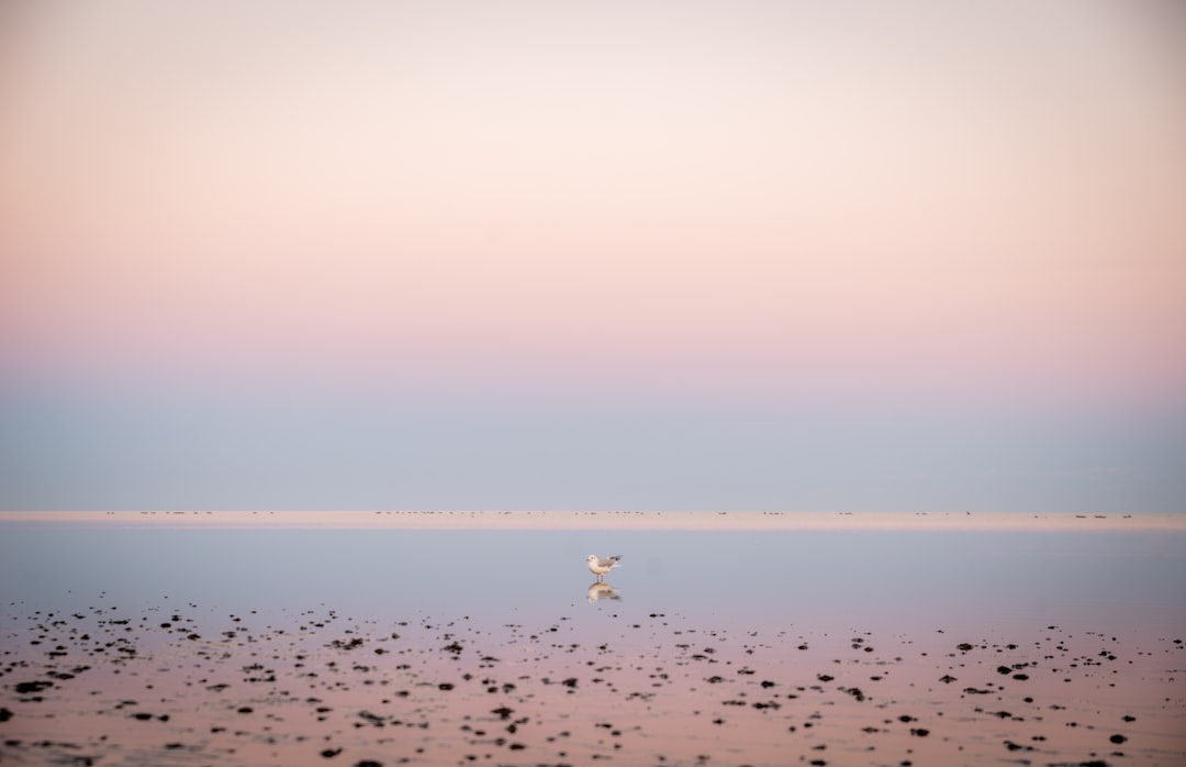 Mudflat