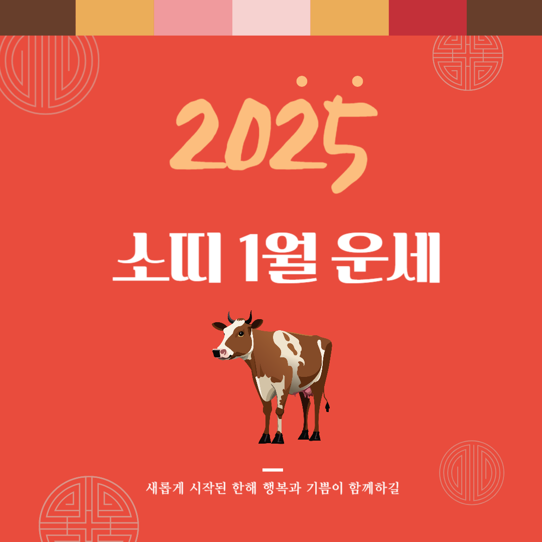 2025년 을사년 『소띠』 1월 운세