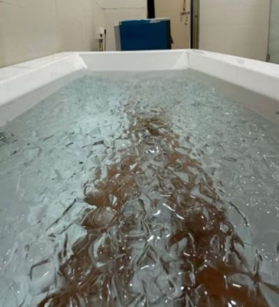 콜드 플런지(얼음 목욕)