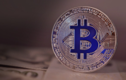 역대 미국 대선 발표 비트코인 영향 2024 예상 반응