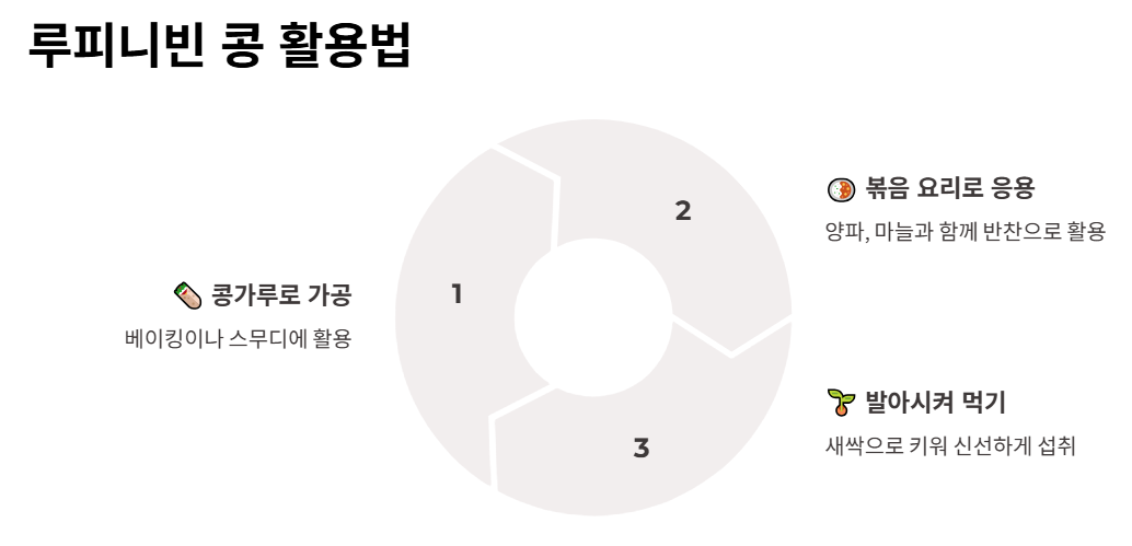 루피니빈 콩 활용법