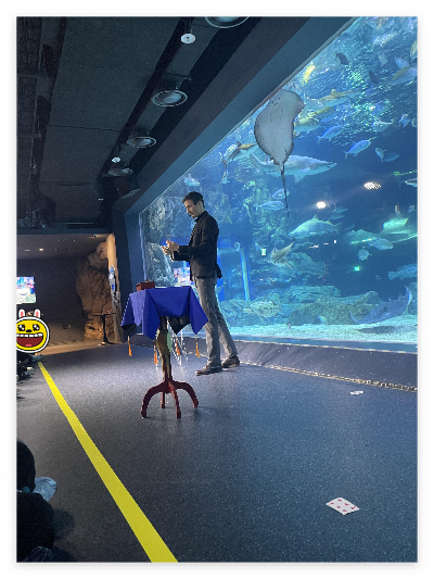 수원 광교 아쿠아플라넷 주차, 인어공주 공연시간 시간표 무료 생태체험