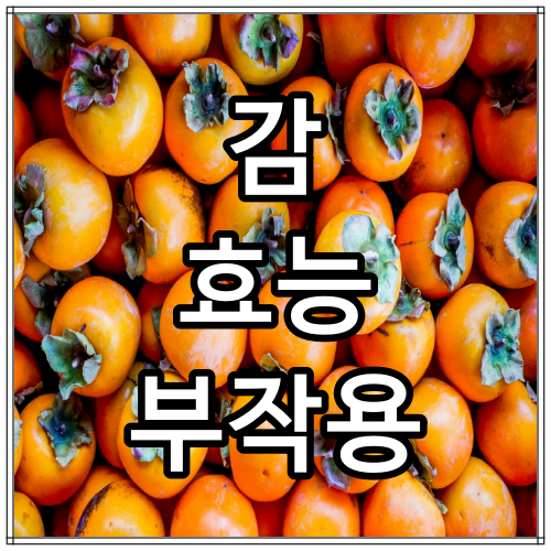 감 효능과 부작용