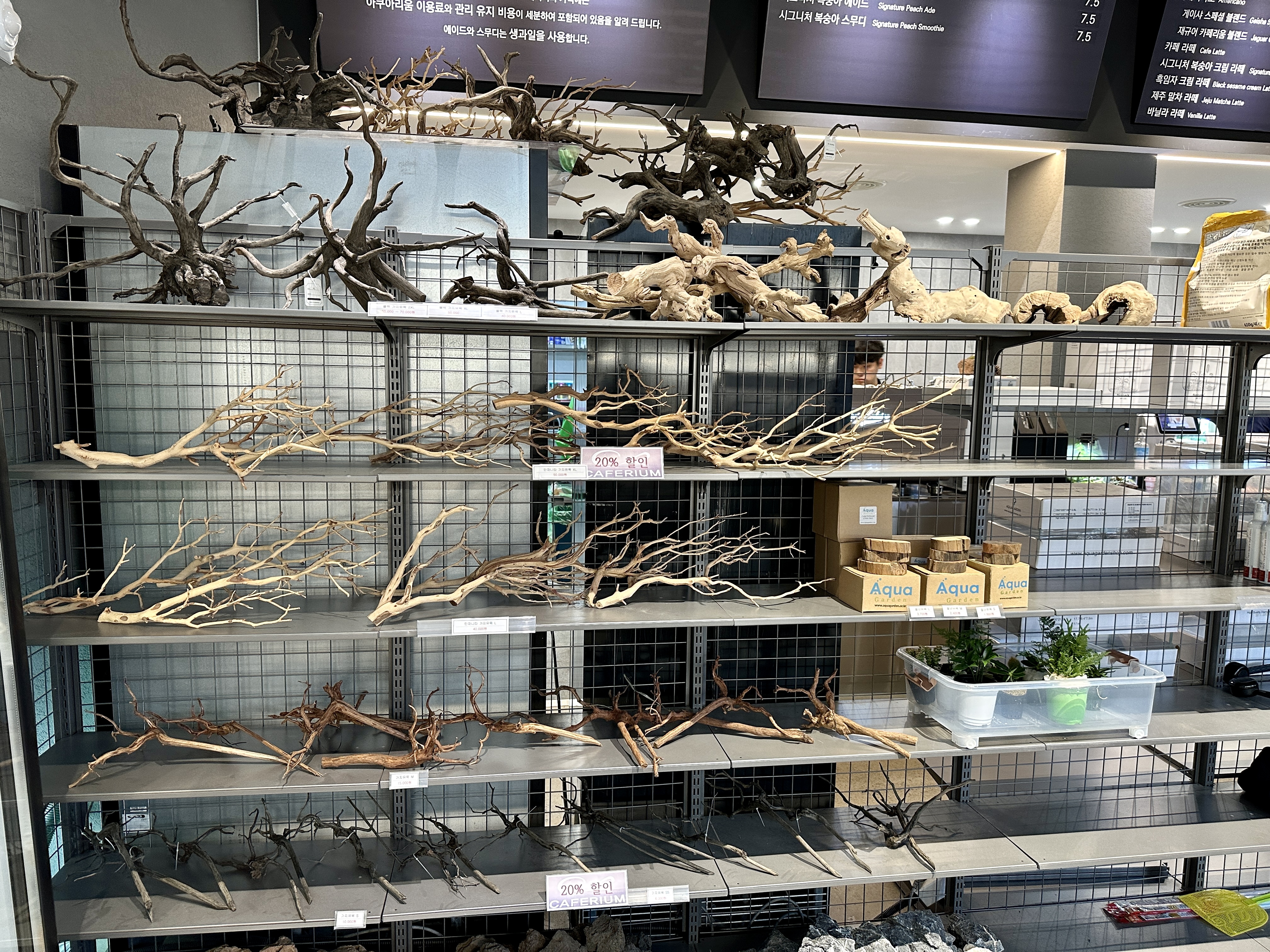 춘천 카페리움 수족관 용품들