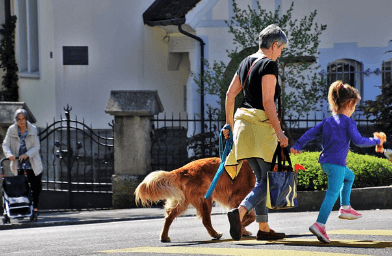 고령자 운전면허 반납 혜택