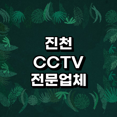 진천군 cctv