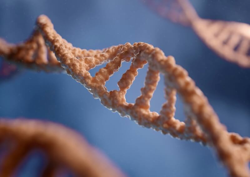 약물 유전자 검사(Pharmacogenomics)와 개인 맞춤형 약물 치료- 특정 유전자형에 따라 약물 반응이 달라지는 사례 -