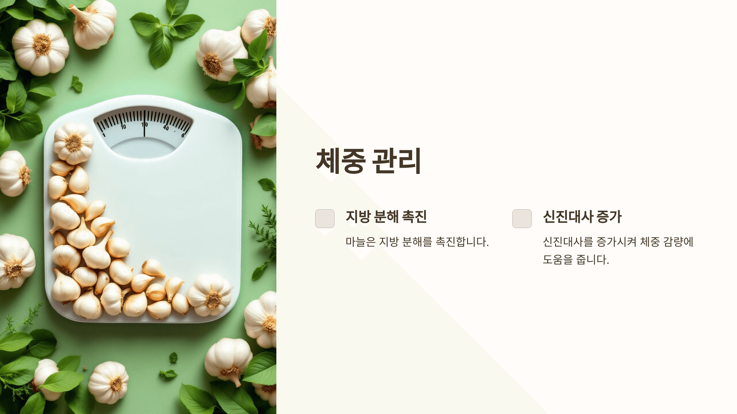 마늘 사진입니다.