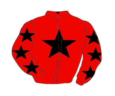 마사일호 경마 게이트별 기수 모자 색상과 마주 복색