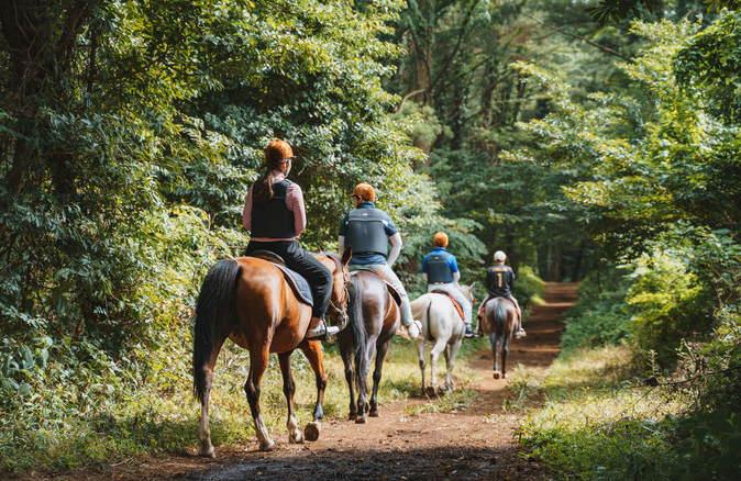 제주-승마-공원