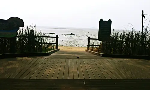 생생정보 경기도 화성 자전거 여행 소개 방송