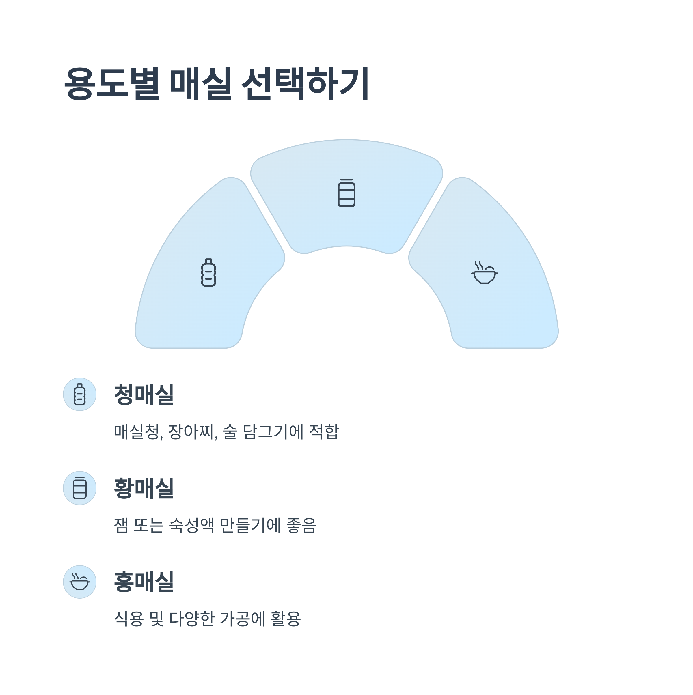 용도에 따른 매실 선택법