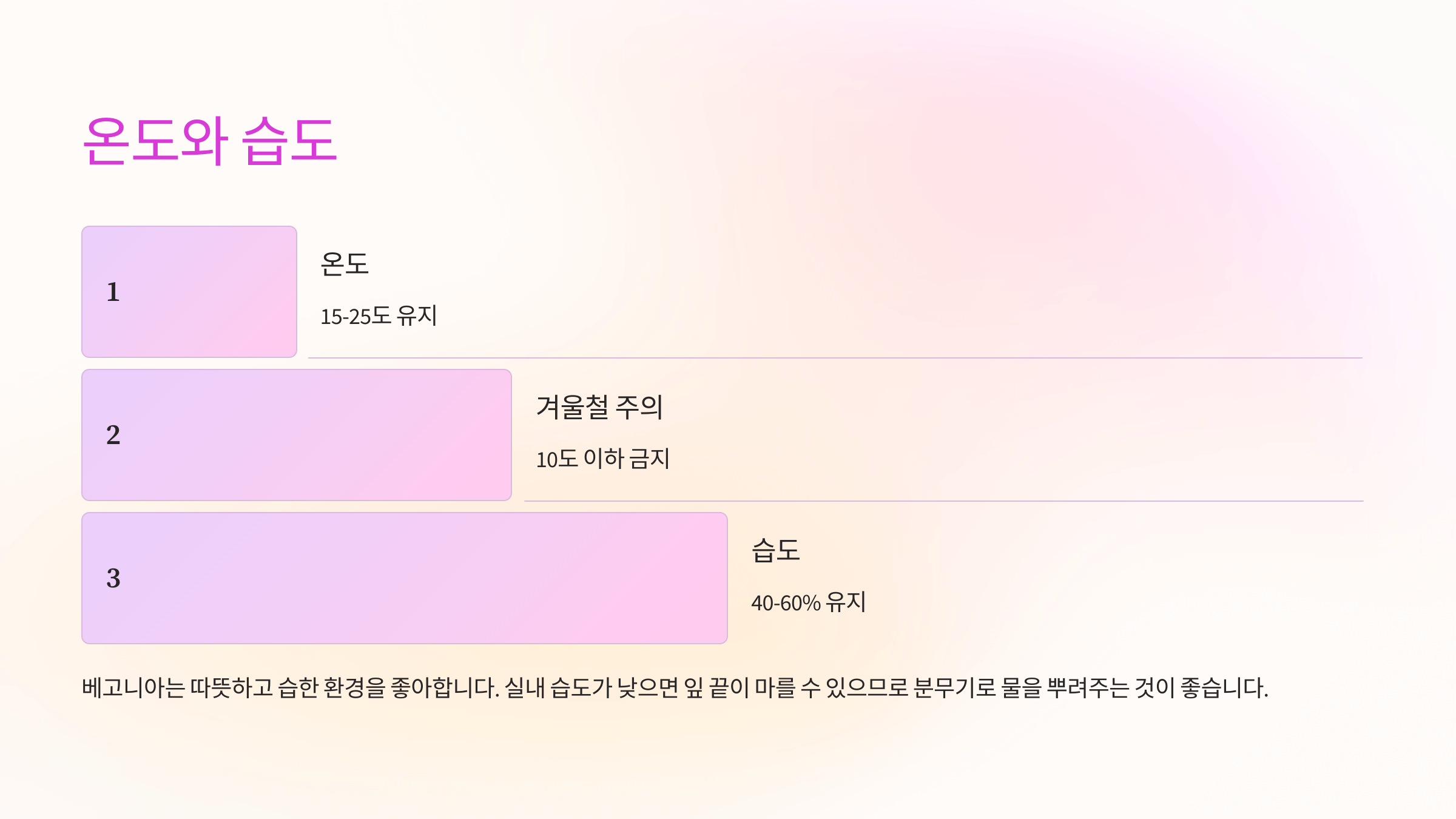 베고니아 꽃과 관련된 사진입니다.