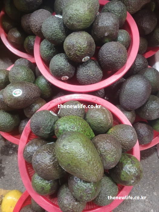 아보카도 효능을 높이는 샐러드와 함께 섭취하는 방법을 보여주는 실사진